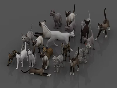 Various Reptile Species Including Lizards Snakes And Turtles In Natural Habitat 3d model