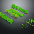 Collection of Various Green Plants with Different Sizes Shapes and Decorative Details