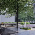 Modern Residential Landscape With Covered Entrance Tall Trees Green Plants And Bench Seating