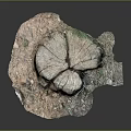 Handcrafted Stone and Wood Decorative Piece Showcasing Natural Texture and Artistic Design