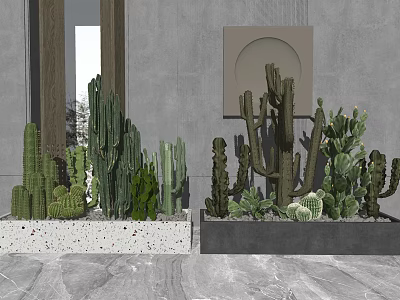 Various Potted Cactus Plants Display With Gray Wall Background And Decorative Art 3d model
