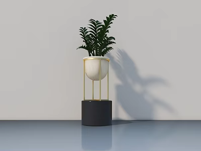 Bonsai Potted Plant with Lush Green Foliage Golden Stand White Pot Black Base 3d model