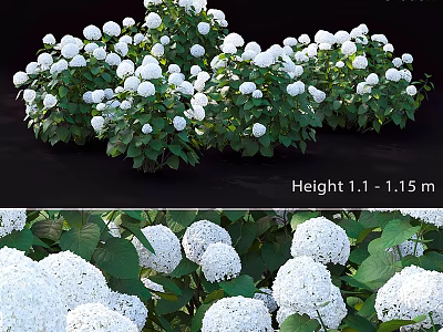 Decorative Ornament Set With White Hydrangea Flowers Green Leaves Height 1.1 To 1.15 Meters 3d model