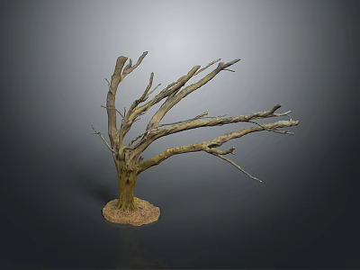 Bare Tree With Leafless Branches and Natural Soil Base Standing Against Dark Background 3d model