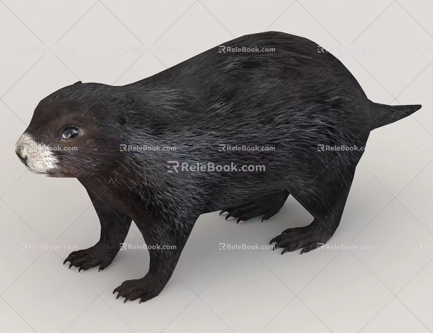 Animals Small Animals Pet Creatures 3d model