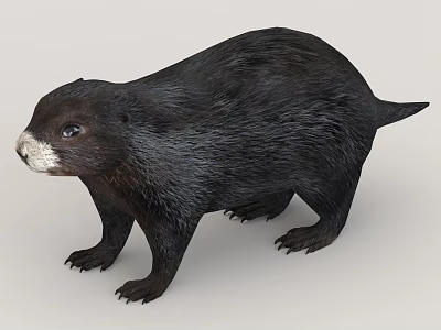 Realistic Black Reptile 3D Model With Detailed Standing Pose And Textured Skin 3d model