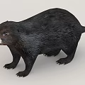 Animals Small Animals Pet Creatures 3d model
