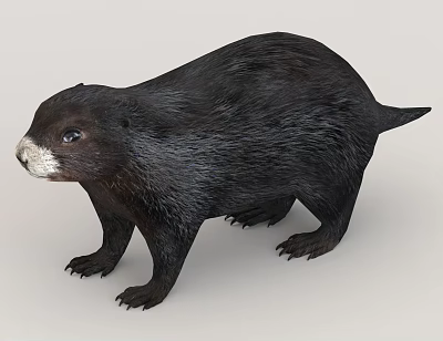 Realistic Black Reptile 3D Model With Detailed Standing Pose And Textured Skin 3d model Realistic Black Reptile 3D Model With Detailed Standing Pose And Textured Skin 3d model