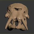 High Quality Copper Mammoth Skull Model For Medical Educational Training Purposes