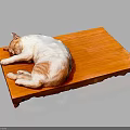 White and orange cat peacefully curled up sleeping on flat wooden tray