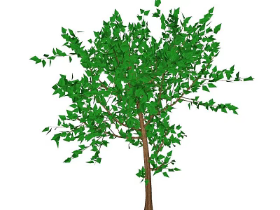 Lush Green Leafy Tree With Brown Trunk And Dense Foliage In Garden 3d model