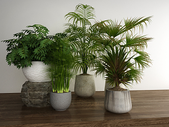 Modern potted plant combination 3d model