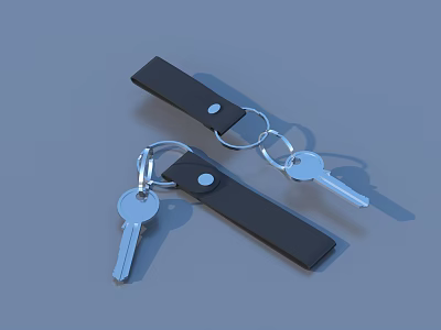 Functional Black Keychain With Metal Rings And Attached Keys For Daily Use 3d model