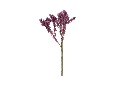 Elegant Arbor With Multiple Purple Flowering Branches And Brown Stem 3d model