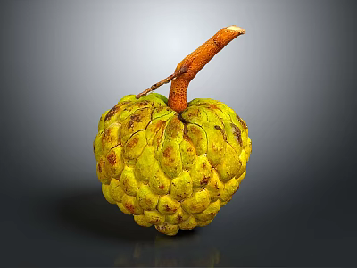 Fresh Yellow Custard Apple With Bumpy Texture And Brown Stem On Gray Background 3d model