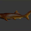 Red and orange shark 3D rendered with open mouth on gray background with reflection 3d model