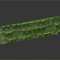 Rectangular Green Vegetation Plantation With Orderly Rows Of Lush Foliage