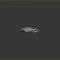 Crocodile Alligator Nile Crocodile carnivore reptile cold-blooded animal reptile 3d model