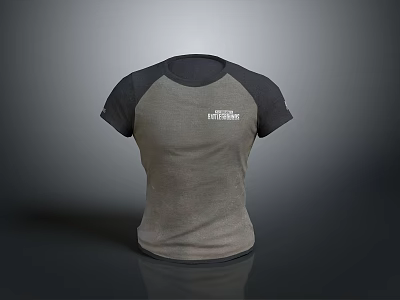 Comfortable Short Sleeve Raglan T Shirt With Gray Dark Gray Color Block And Chest Logo 3d model
