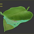 Green Leaf With Organ Like Structure And Hair Like Texture Details