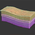Skin Organ and Hair Structure Cross Section Showing Layers and Texture