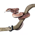 Reptile Viper 3d model