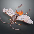 Detailed View Of Flying Insect With Transparent Wings Black And Orange Body Long Antennae