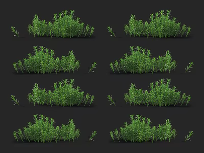 Green Herb Clusters in Various Shapes and Forms Displayed on Black Background 3d model
