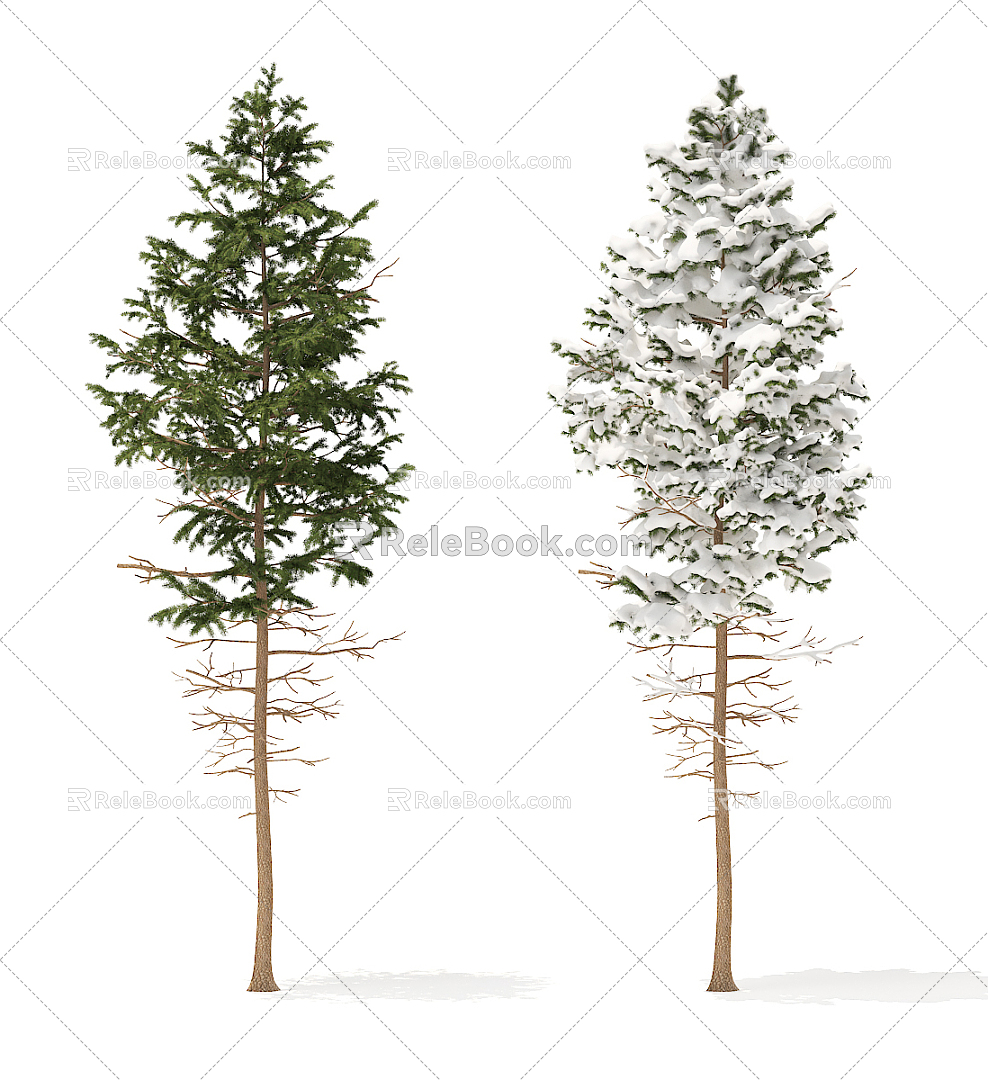 Modern Pine 3d model