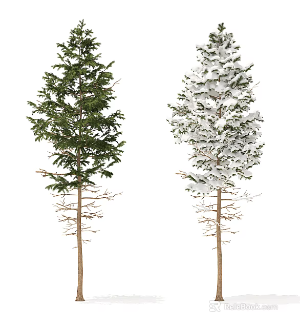 Two Tall Trees With Lush Green Leaves And Snow Covered Branches Isolated 3d model 