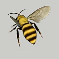 Modern Bees 3d model