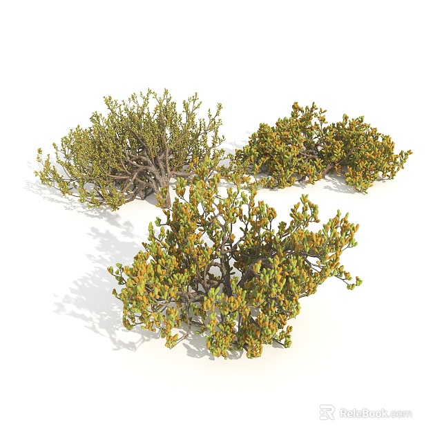 Three Lush Shrubs with Green and Yellow Foliage in Natural Growth 3d model 