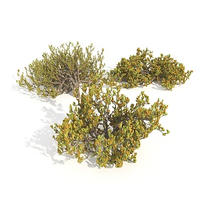 shrubs plants flowers and plants 3d model