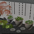 Serene Aquatic Garden with Red Maple Tree Ceramic Pots Moss and Water Lilies