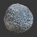 Aquatic Animal Brain Coral Featuring Intricate Patterns and Grayish White Surface in Marine Environment