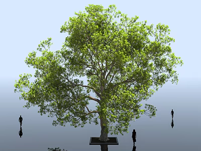 Tall Arbor With Lush Green Foliage And Thick Trunk Surrounded By People Silhouettes 3d model