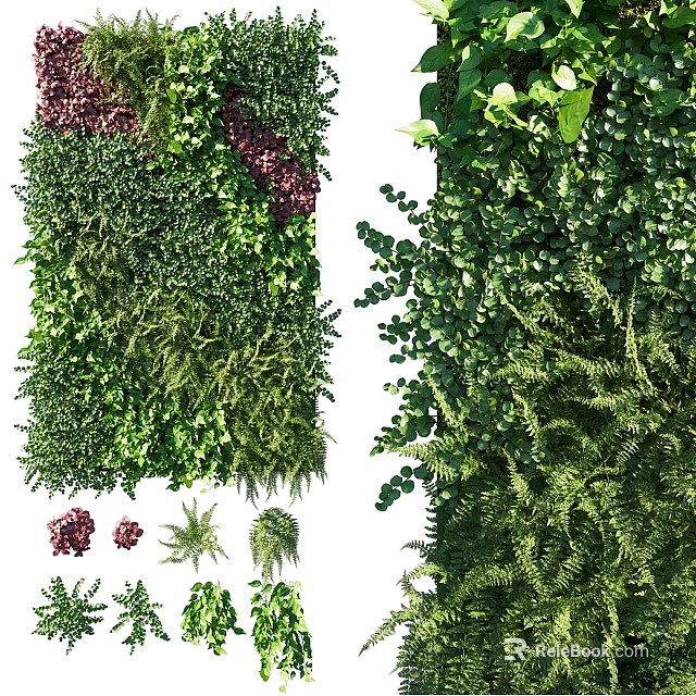Elegant Living Plant Wall Design With Various Green Foliage And Decorative Elements 3d model