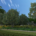 Lush Garden Landscape With Orange Trees Palm Trees Colorful Flowers And Green Lawn