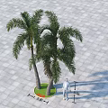 Two Palm Trees in Outdoor Area With Paved Ground and Circular Grass Patch 3d model