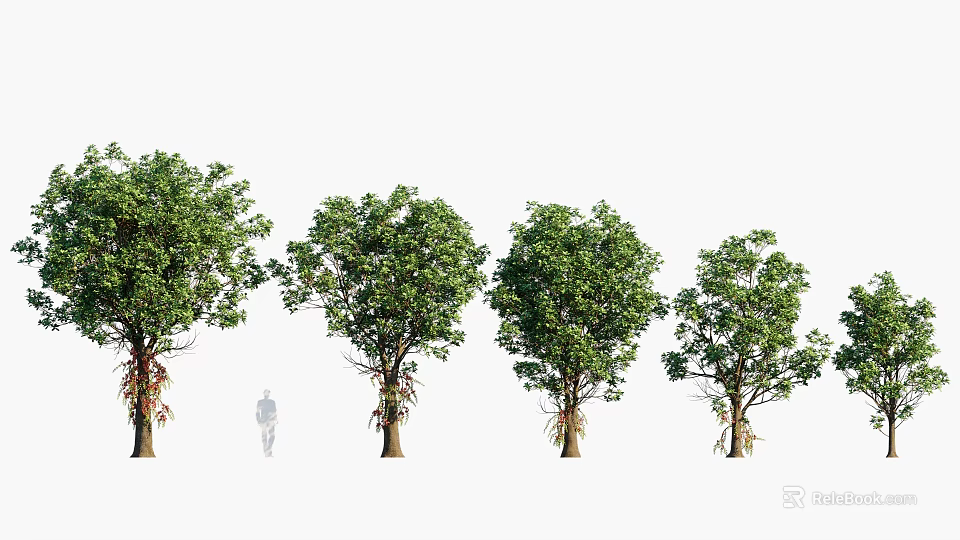 Various Arbor Trees with Lush Green Foliage and Sturdy Trunks in Landscape Gardens 3d model 