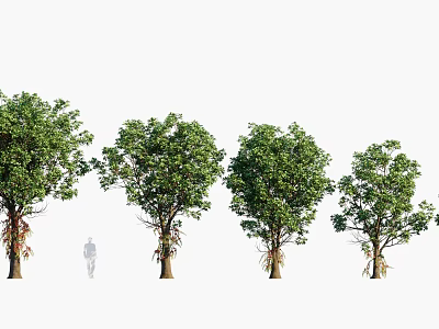 Various Arbor Trees with Lush Green Foliage and Sturdy Trunks in Landscape Gardens 3d model
