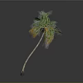 Tropical Palm Tree With Curved Trunk Green Leaves And Yellow Edges