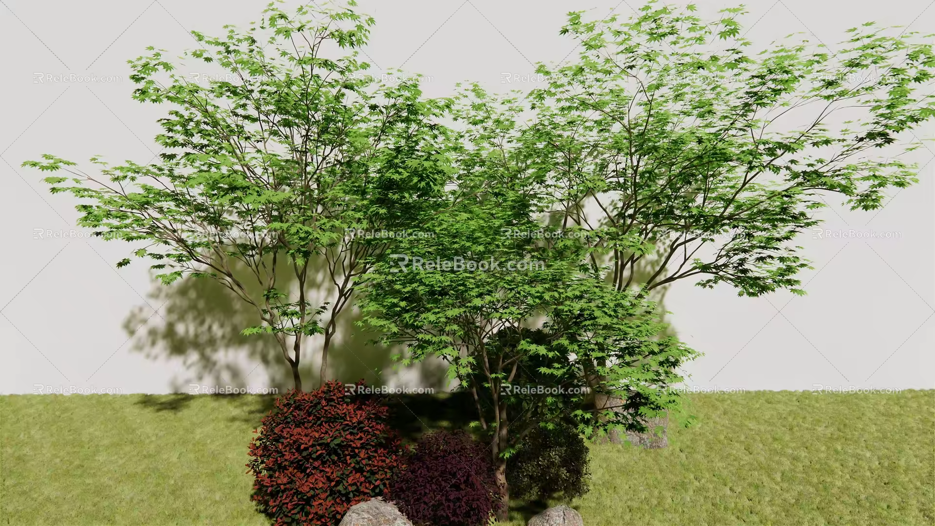 Modern Tree Acer 3d model