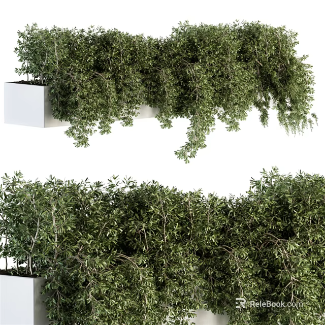 Bonsai Potted Plants With Lush Green Foliage In White Hanging Planter Design 3d model 
