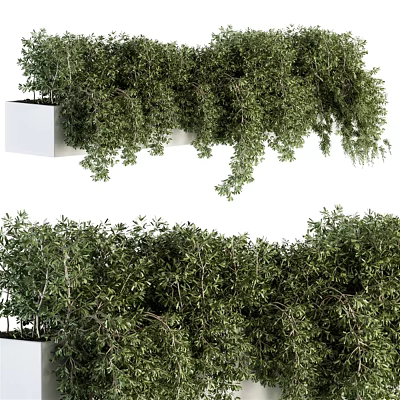 Bonsai Potted Plants With Lush Green Foliage In White Hanging Planter Design 3d model