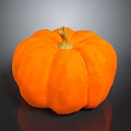 Fresh Orange Pumpkin with Shiny Smooth Surface on Dark Reflective Background