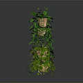 Different Types of Hanging Plants in Baskets with Green Vines on White Background