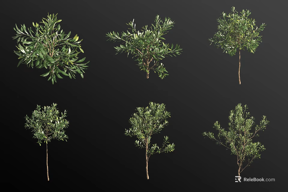 Lush Green Hanging Basket Plants For Home Decoration With Various Foliage And Lush Growth 3d model 