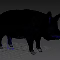Pink Pig With Black Spots 3D Rendered Standing On Black Background Realistic Fur Texture