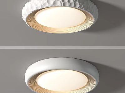 Modern Round Ceiling Light with Textured and Smooth White Surface and Soft Illuminated Design 3d model
